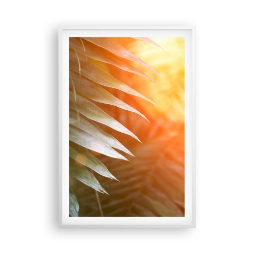 Poster in einem weißen Rahmen - Morgen im Dschungel - 61x91 cm
