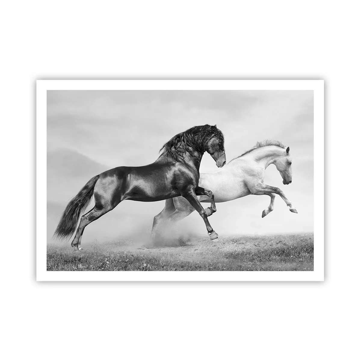Poster - Zwei galoppierende Pferde in einer dynamischen Schwarz-Weiß-Komposition - 100x70cm - Engel und Dämonen - Moderne Wanddekoration für Wohnzimmer und Schlafzimmer ARTTOR