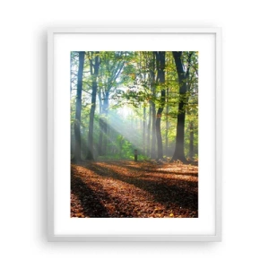 Poster in einem weißen Rahmen - Licht und Schatten - 40x50 cm