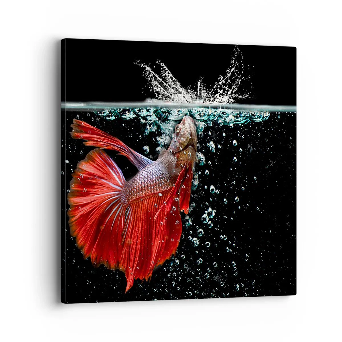 Bild auf Leinwand - Leinwandbild - Du hast drei Wünsche - 40x40 cm