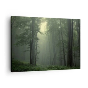 Bild auf Leinwand - Leinwandbild - Ein grüner Wald am Morgen, eingehüllt in einen zarten Nebel - 70x50cm - Bevor er aufwacht - Moderne Wanddekoration für Wohnzimmer und Schlafzimmer ARTTOR
