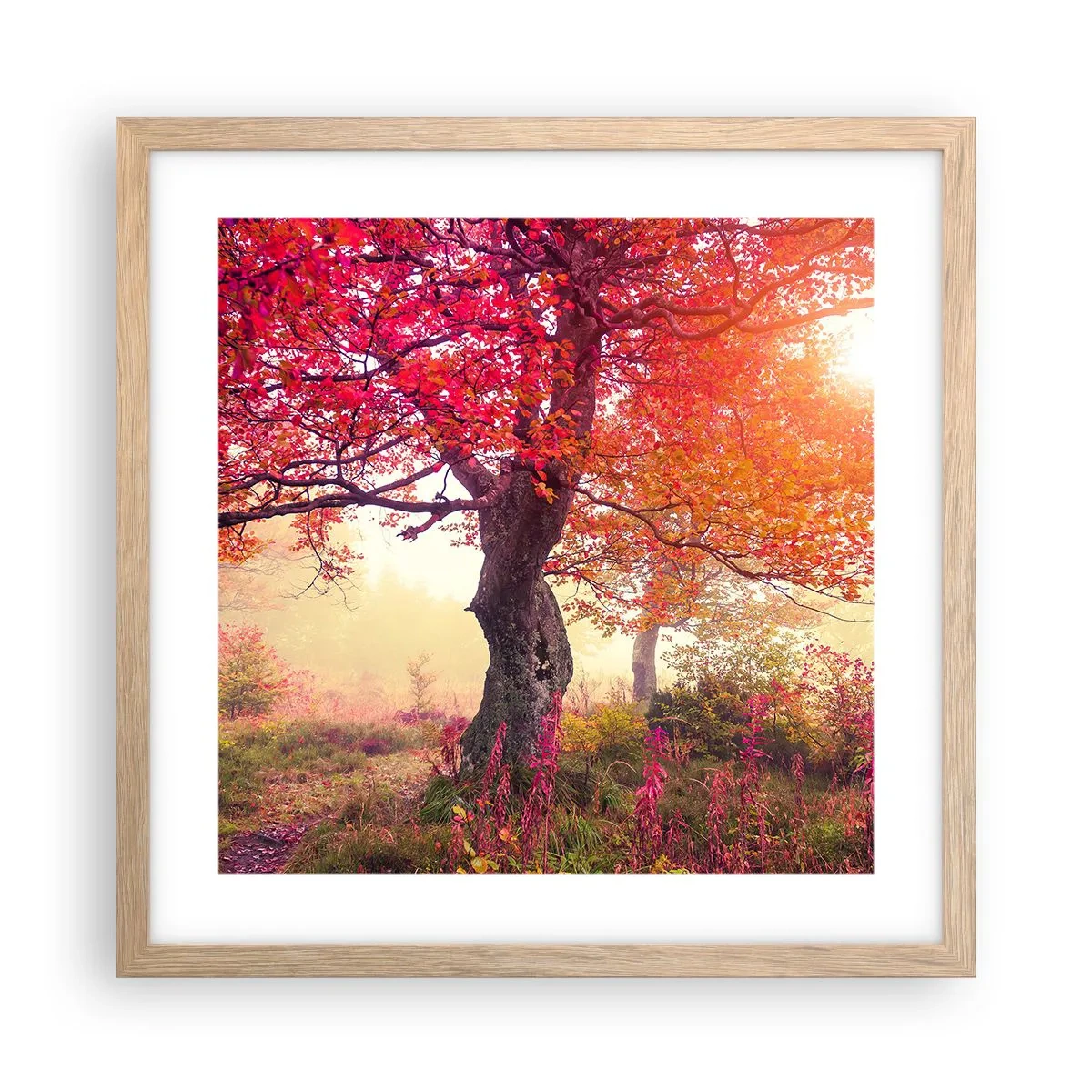 Poster in einem Rahmen aus heller Eiche - Blühende Raserei - 40x40 cm