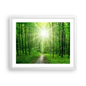 Poster in einem weißen Rahmen - Die grüne Kathedrale - 50x40 cm