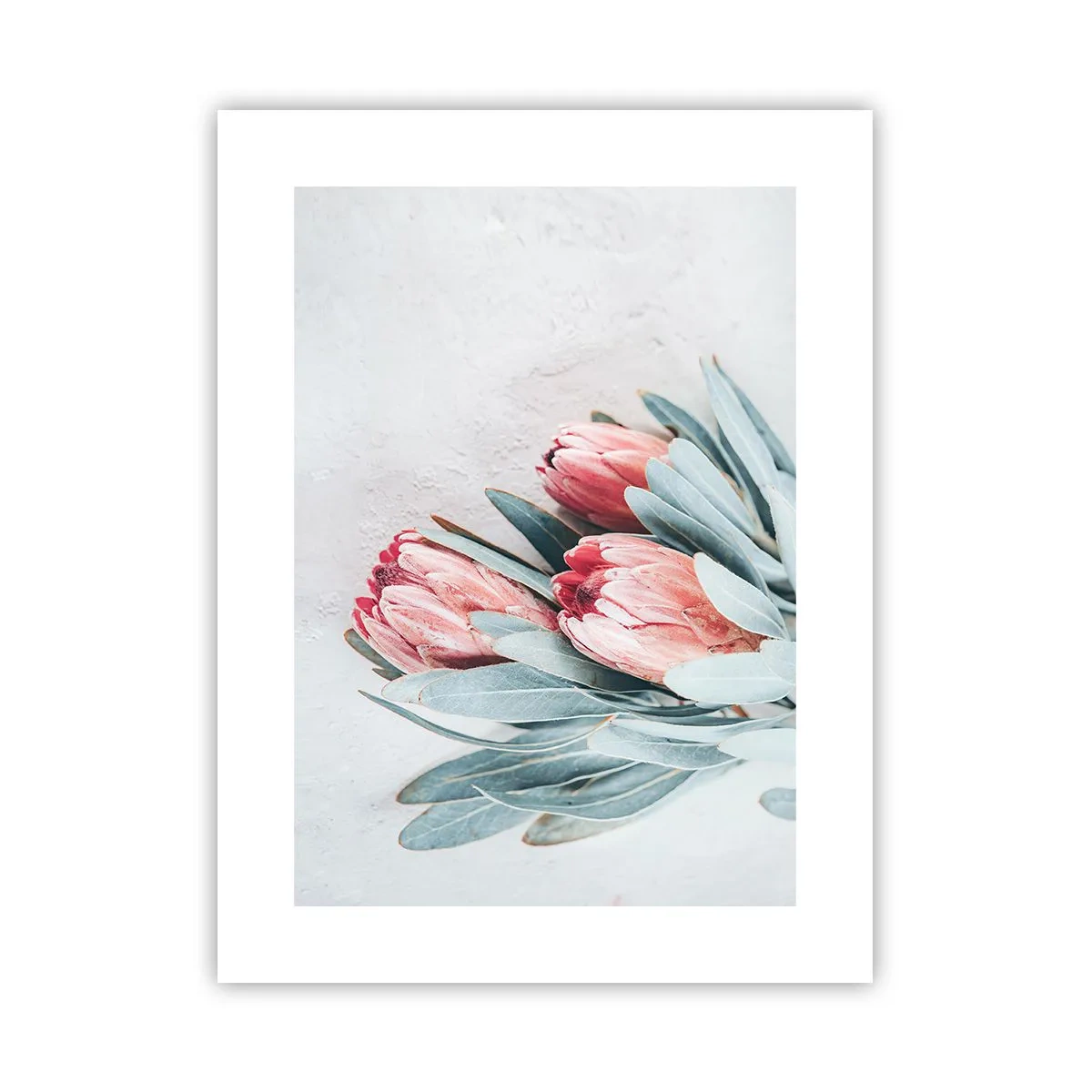 Poster - Schämen sich für ihre eigene Schönheit - 30x40 cm