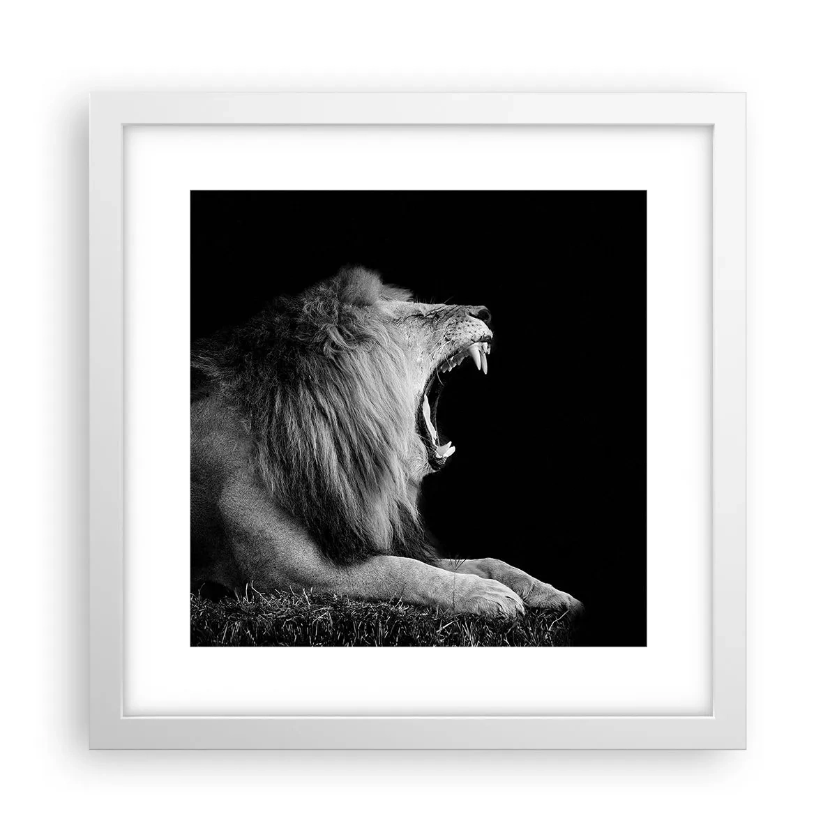 Poster in einem weißen Rahmen - Ohne Zweifel - 30x30 cm
