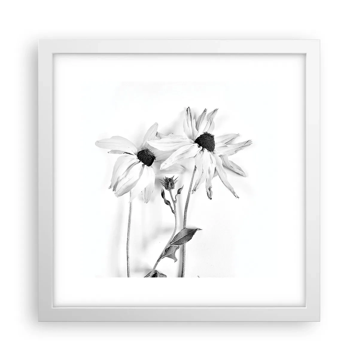 Poster in einem weißen Rahmen - Niemand will allein sein - 30x30 cm