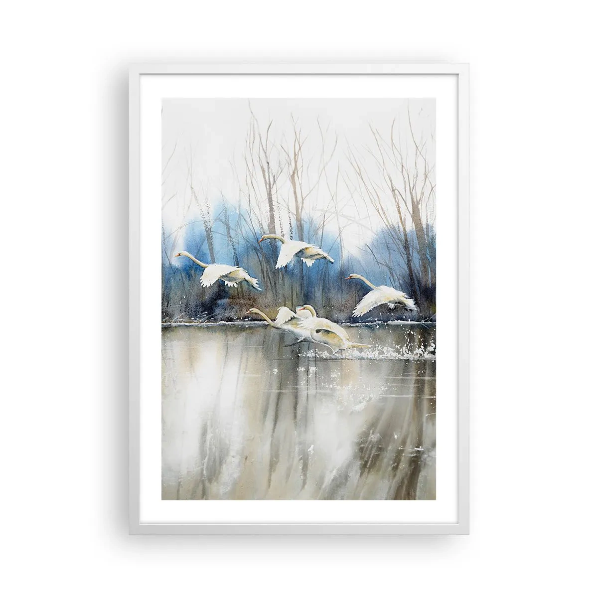 Poster in einem weißen Rahmen - Wie im Märchen von den wilden Schwänen - 50x70 cm