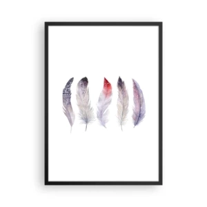Poster in einem schwarzem Rahmen - Bunte Federn auf weißem Hintergrund in einem zarten Stil - 50x70cm - Zart wie mehrfarbiger Nebel - Moderne Wanddekoration für Wohnzimmer und Schlafzimmer ARTTOR