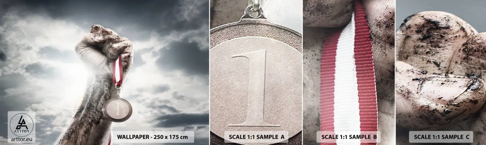 Fototapetenmuster Standard Eco - Per aspera ad astra - Sport, Sportmedaille, 3D - 100x30 cm