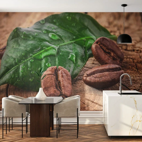 Selbstklebende Fototapete Deluxe Sticker - Der wahrste und schwarze - Gastronomie, Kaffee, Kaffeebohne - 300x210 cm