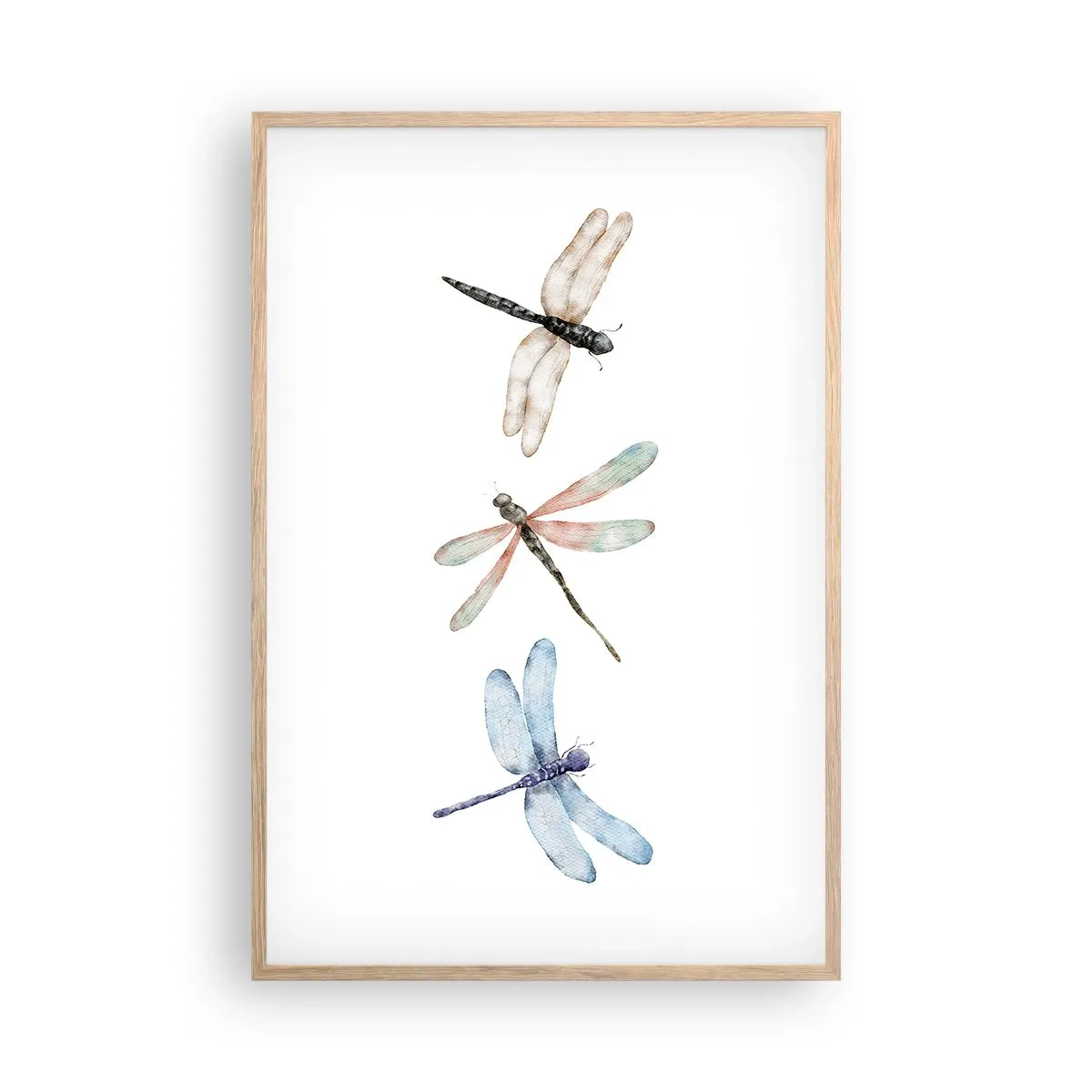 Poster in einem Rahmen aus heller Eiche - Schwerelose Libellen - 61x91 cm