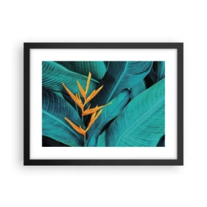 Poster in einem schwarzem Rahmen - Eden-Blume - 40x30 cm