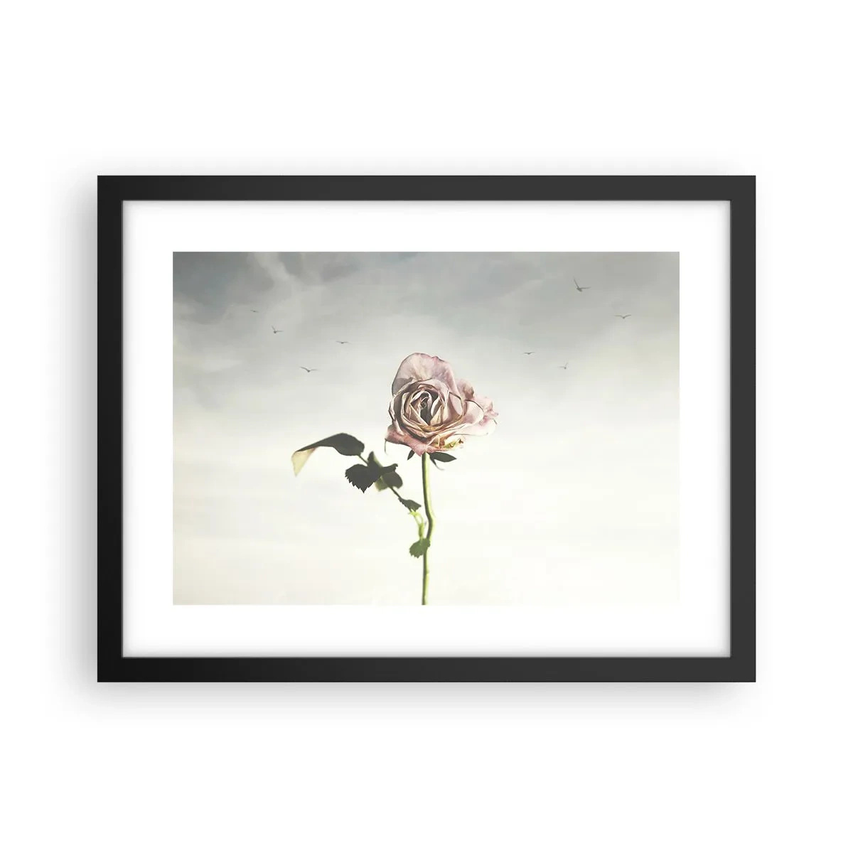 Poster in einem schwarzem Rahmen - Begrüßung des Frühlings - 40x30 cm