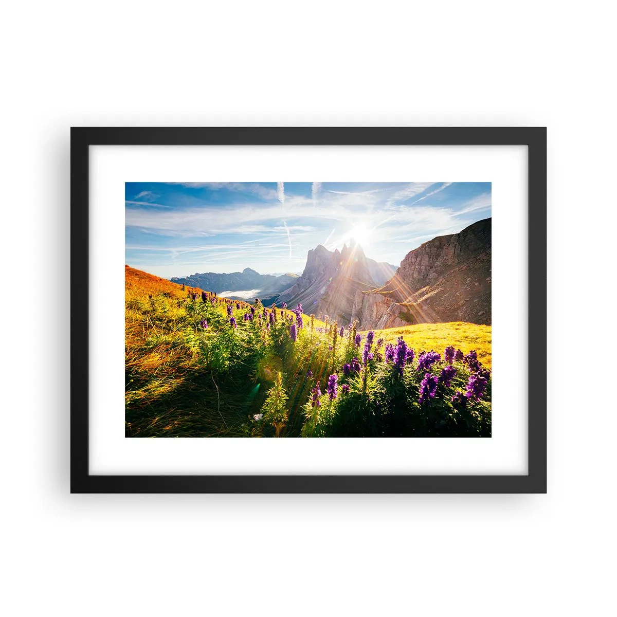 Poster in einem schwarzem Rahmen - Das geheime Leben der Kräuter - 40x30 cm