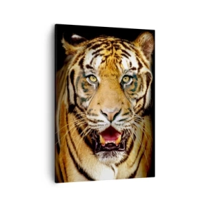 Bild auf Leinwand - Leinwandbild - Ein Tiger mit offenem Maul auf schwarzem Hintergrund - 50x70cm - Wild im Herzen - Moderne Wanddekoration für Wohnzimmer und Schlafzimmer ARTTOR