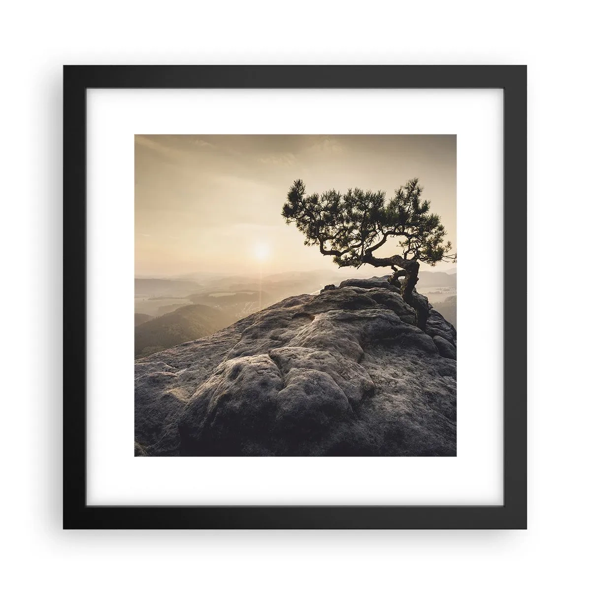 Poster in einem schwarzem Rahmen - Das Leben gewinnt immer - 30x30 cm