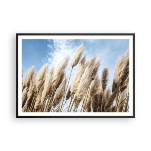 Poster in einem schwarzem Rahmen - Zarte Pampasgräser vor blauem Himmel mit leichten Wolken - 100x70cm - Sonnige und windige Liebkosungen - Moderne Wanddekoration für Wohnzimmer und Schlafzimmer ARTTOR