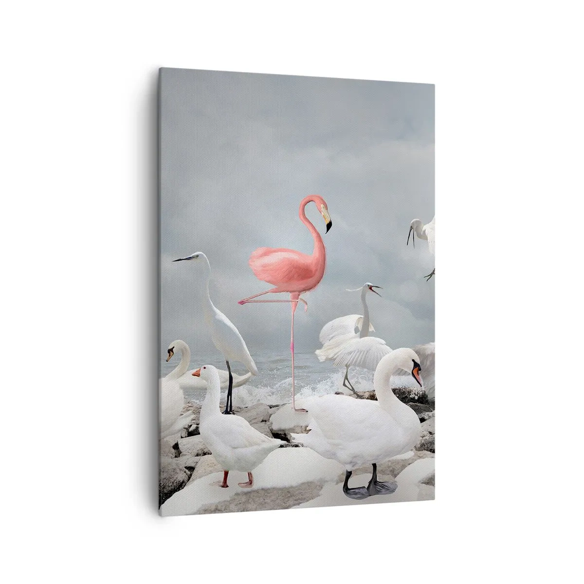 Bild auf Leinwand - Leinwandbild - Ein rosa Flamingo zwischen weißen Schwänen vor der Kulisse eines Sees - 70x100cm - Wie kam ich hier hin? - Moderne Wanddekoration für Wohnzimmer und Schlafzimmer ARTTOR