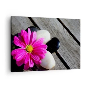 Bild auf Leinwand - Leinwandbild - Rosa Blume auf einem Hintergrund aus Holzbrettern mit Steinen - 70x50cm - Ruhe auf dem Pier - Moderne Wanddekoration für Wohnzimmer und Schlafzimmer ARTTOR