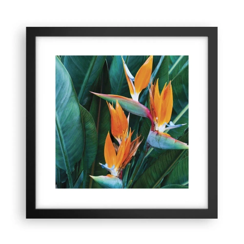 Poster in einem schwarzem Rahmen - Ist es eine Blume oder ist es ein Vogel? - 30x30 cm