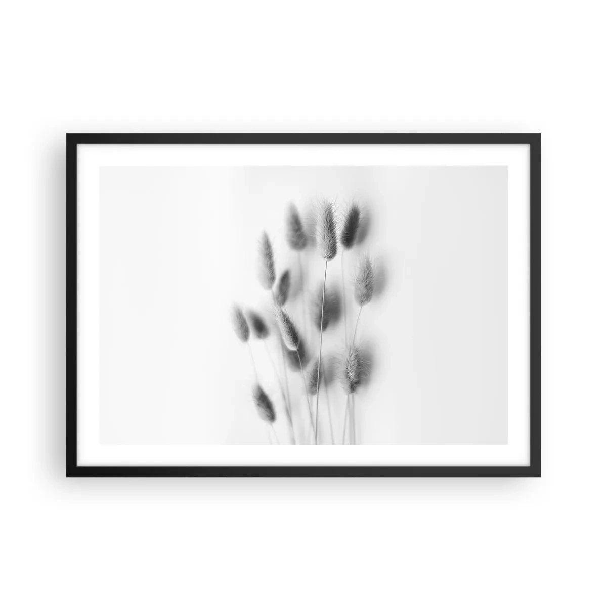 Poster in einem schwarzem Rahmen - Zarte Gräser in Grautönen auf weißem Hintergrund - 70x50cm - Eure flauschige Grashoheit - Moderne Wanddekoration für Wohnzimmer und Schlafzimmer ARTTOR