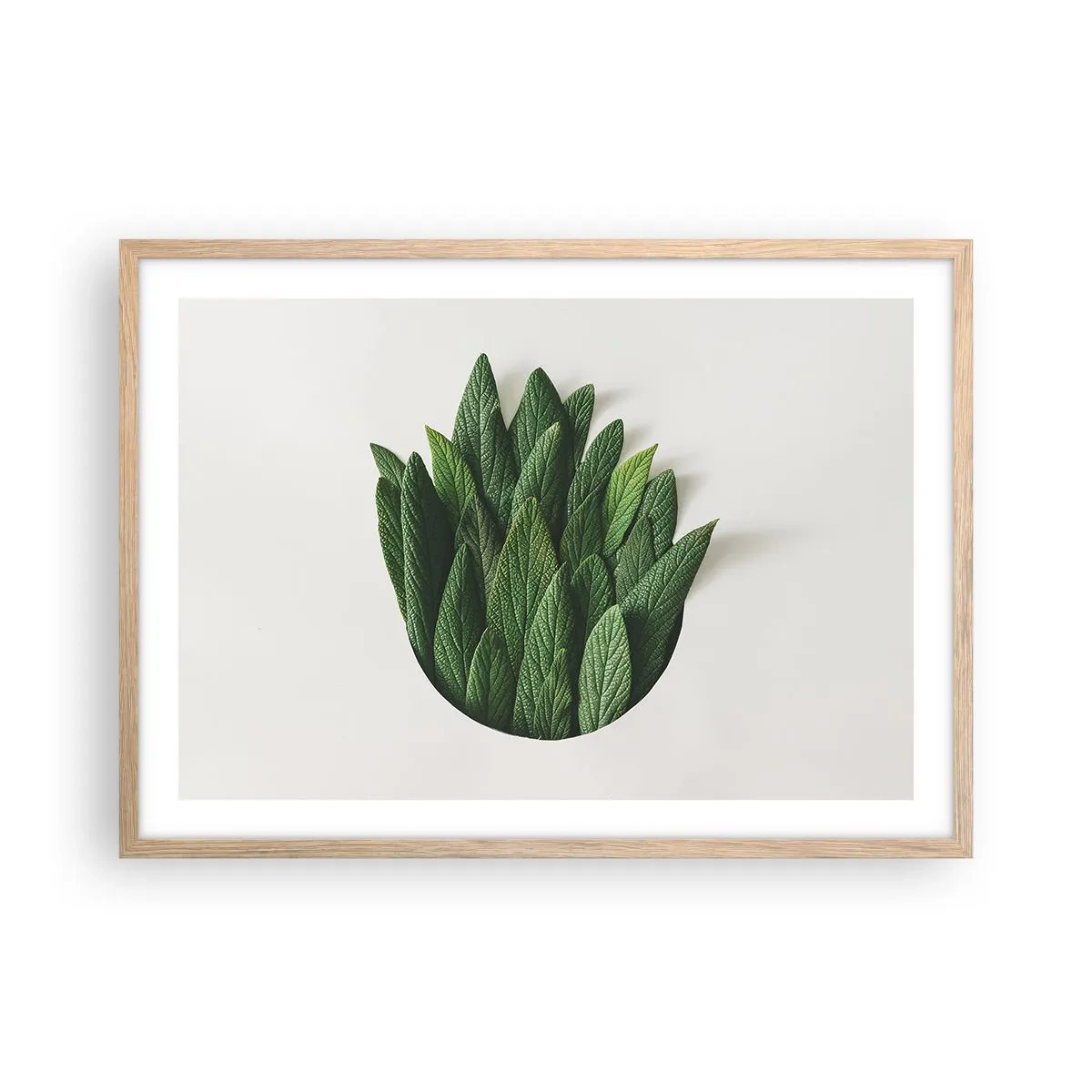 Poster in einem Rahmen aus heller Eiche - Ungebremste Neugier - 70x50 cm