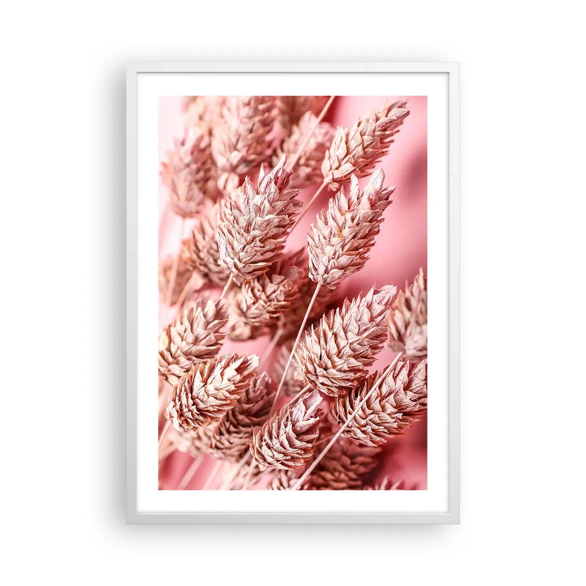 Poster in einem weißen Rahmen - Eine Blumenkaskade in Rosa - 50x70 cm