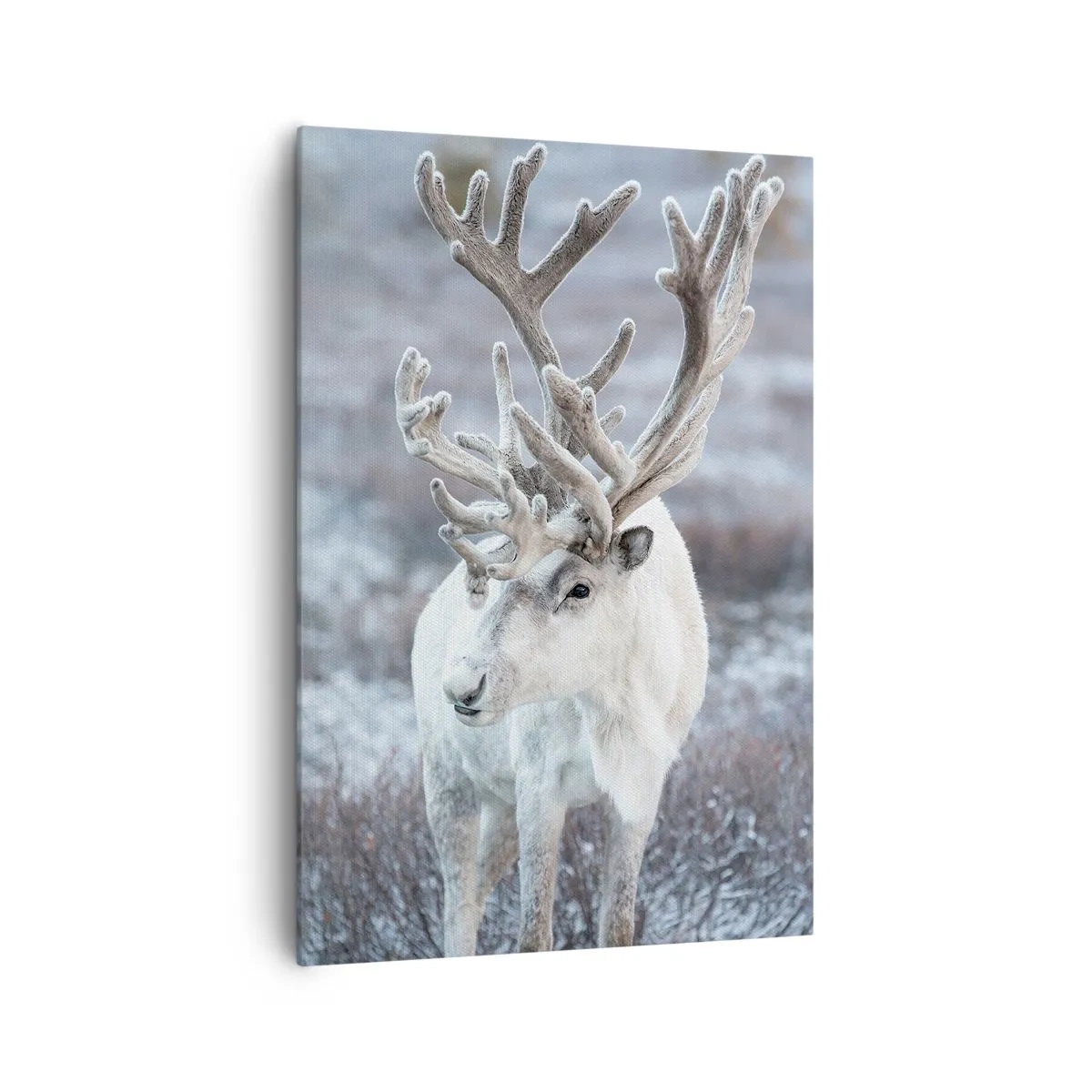 Bild auf Leinwand - Leinwandbild - Porträt in der Sonne - 70x100 cm