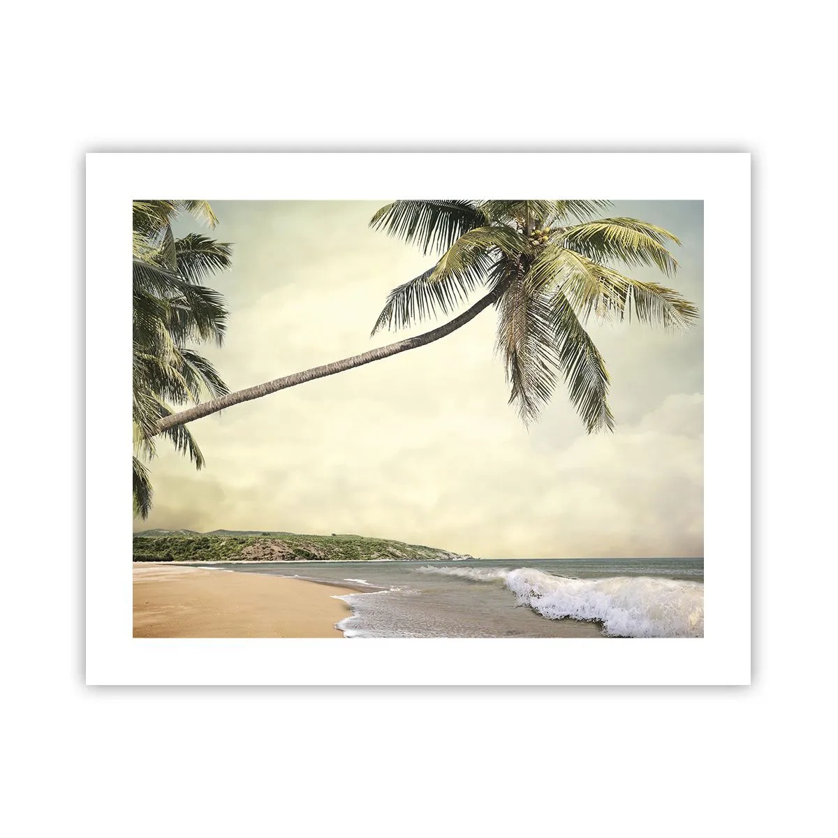 Poster - Tropischer Traum - 50x40 cm