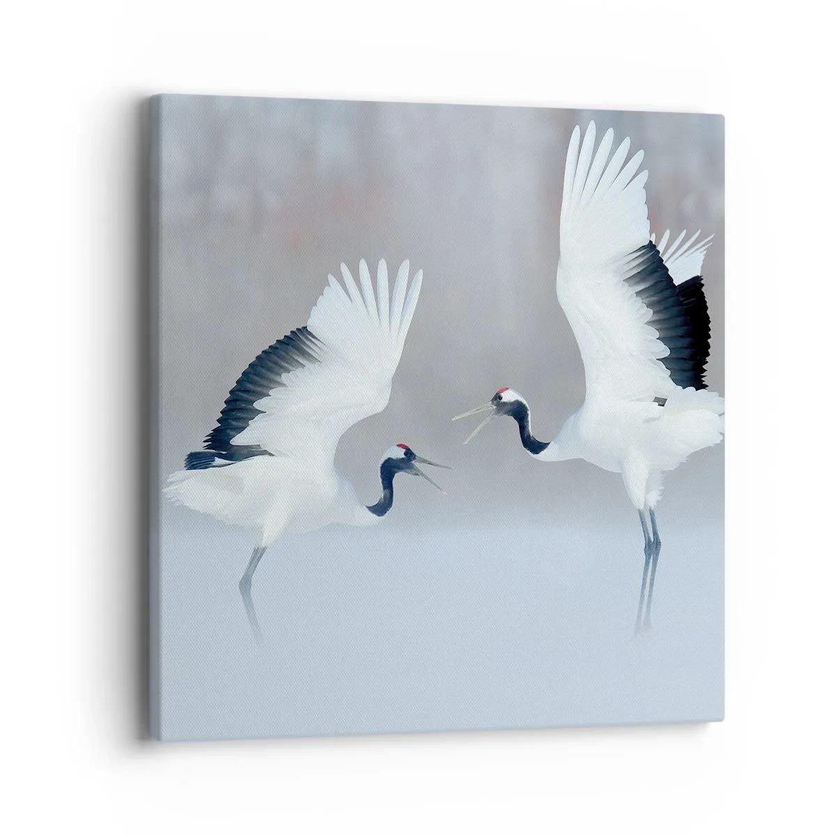 Bild auf Leinwand - Leinwandbild - Tanz im Nebel - 40x40 cm