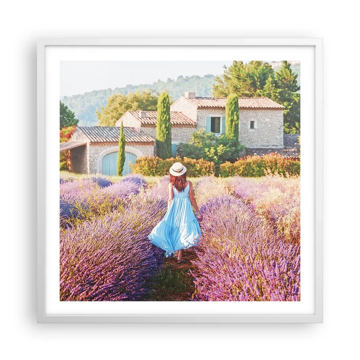 Poster in einem weißen Rahmen - Lavendel Mädchen - 60x60 cm