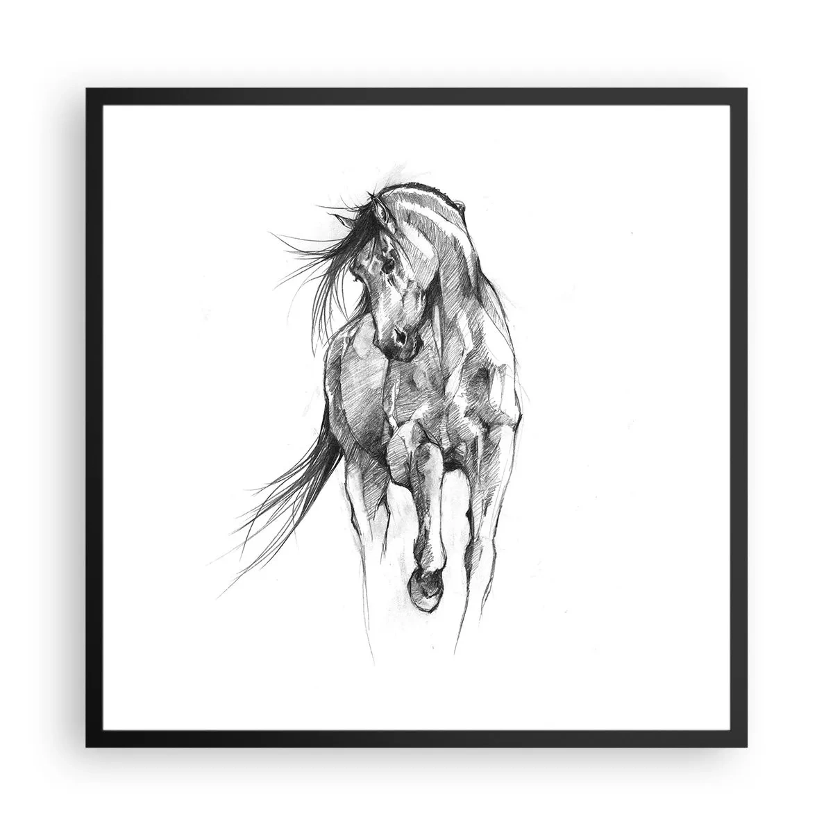 Poster in einem schwarzem Rahmen - Im anmutigen Trab - 60x60 cm