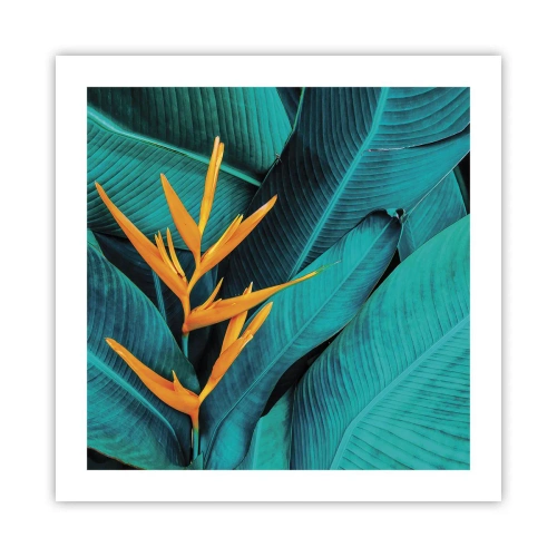 Poster - Eden-Blume - 50x50 cm