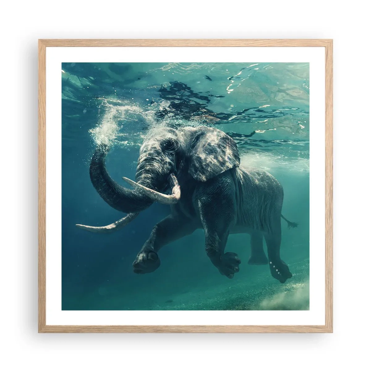 Poster in einem Rahmen aus heller Eiche - Jeder schwimmt gerne - 60x60 cm