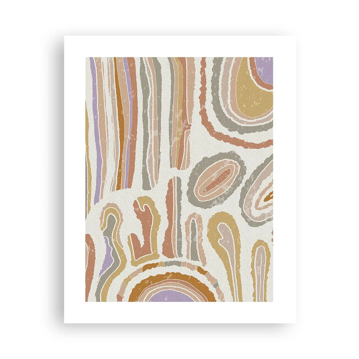 Poster - Bunte Querschnitte - 40x50 cm