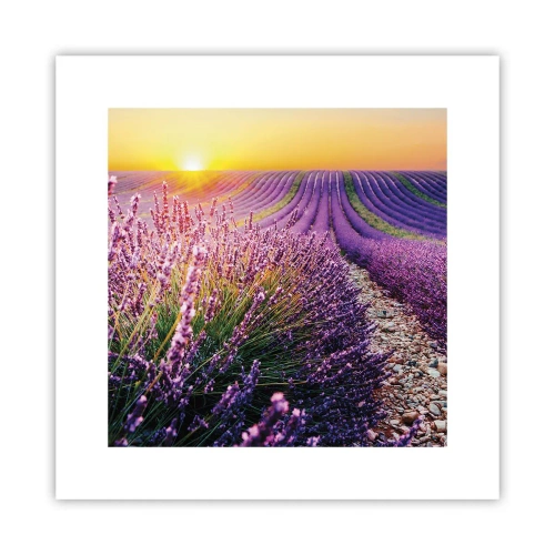 Poster - Duftende Kornfelder - 30x30 cm