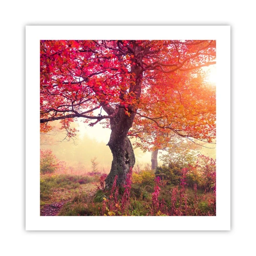 Poster - Blühende Raserei - 50x50 cm