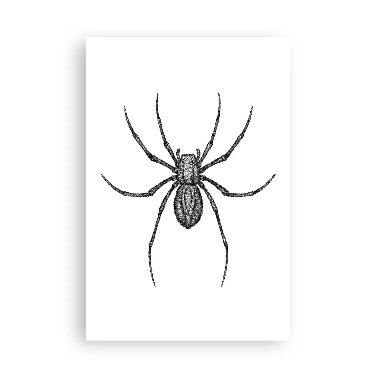 Poster - Beunruhigende Präzision - 61x91 cm