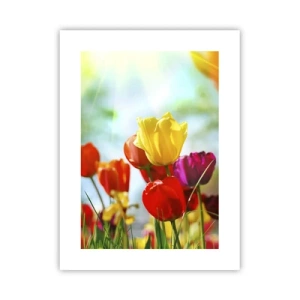 Poster - Alle Farben der Sonne - 30x40 cm