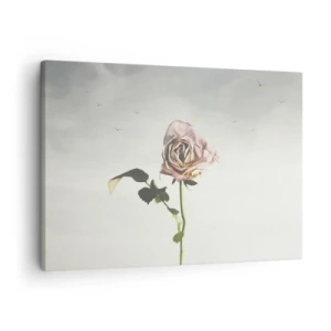 Bild auf Leinwand - Leinwandbild - Eine zarte Rose vor einem hellen Himmel mit fliegenden Vögeln - 70x50cm - Begrüßung des Frühlings - Moderne Wanddekoration für Wohnzimmer und Schlafzimmer ARTTOR
