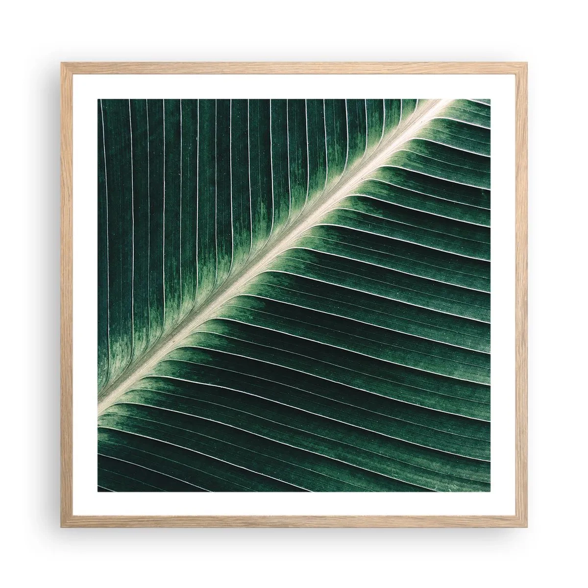 Poster in einem Rahmen aus heller Eiche - Rhythmus der Natur - 60x60 cm