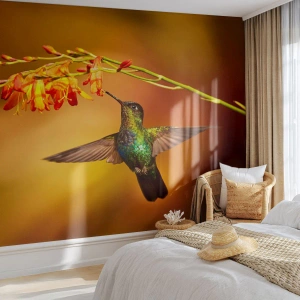 Selbstklebende Fototapete Deluxe Sticker - Ein Lichtbote nach den Maya - Kolibri, Vogel, Natur - 200x140 cm