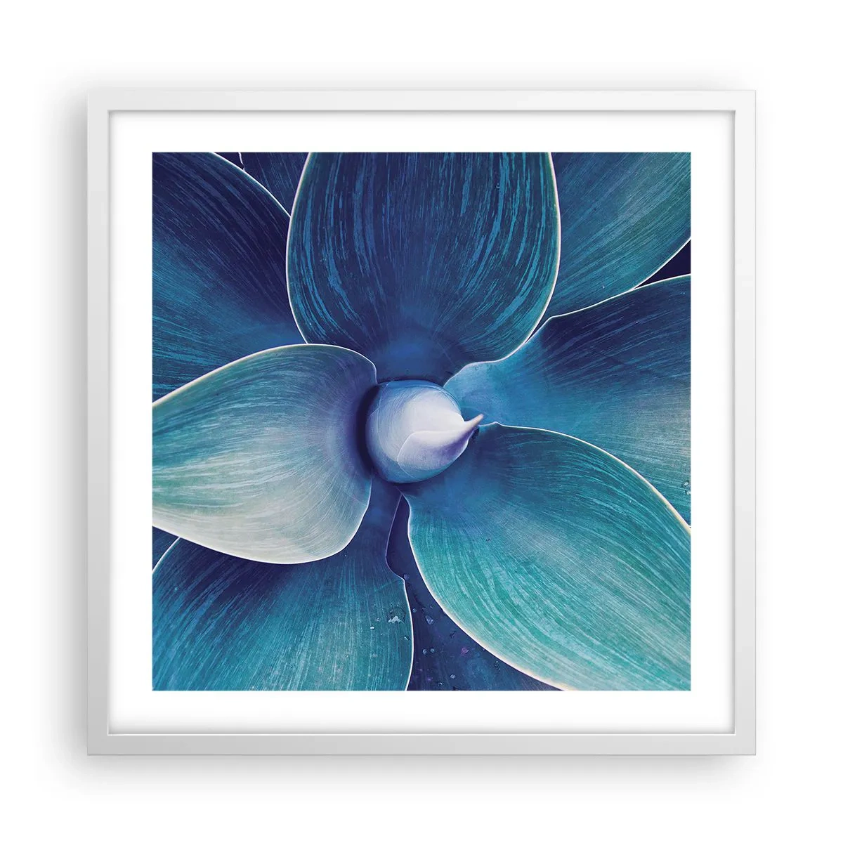 Poster in einem weißen Rahmen - Bläulich vom Himmel - 50x50 cm
