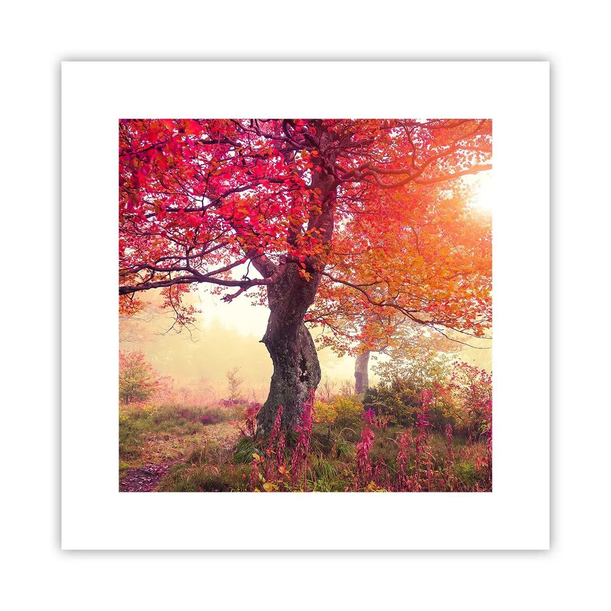 Poster - Blühende Raserei - 30x30 cm