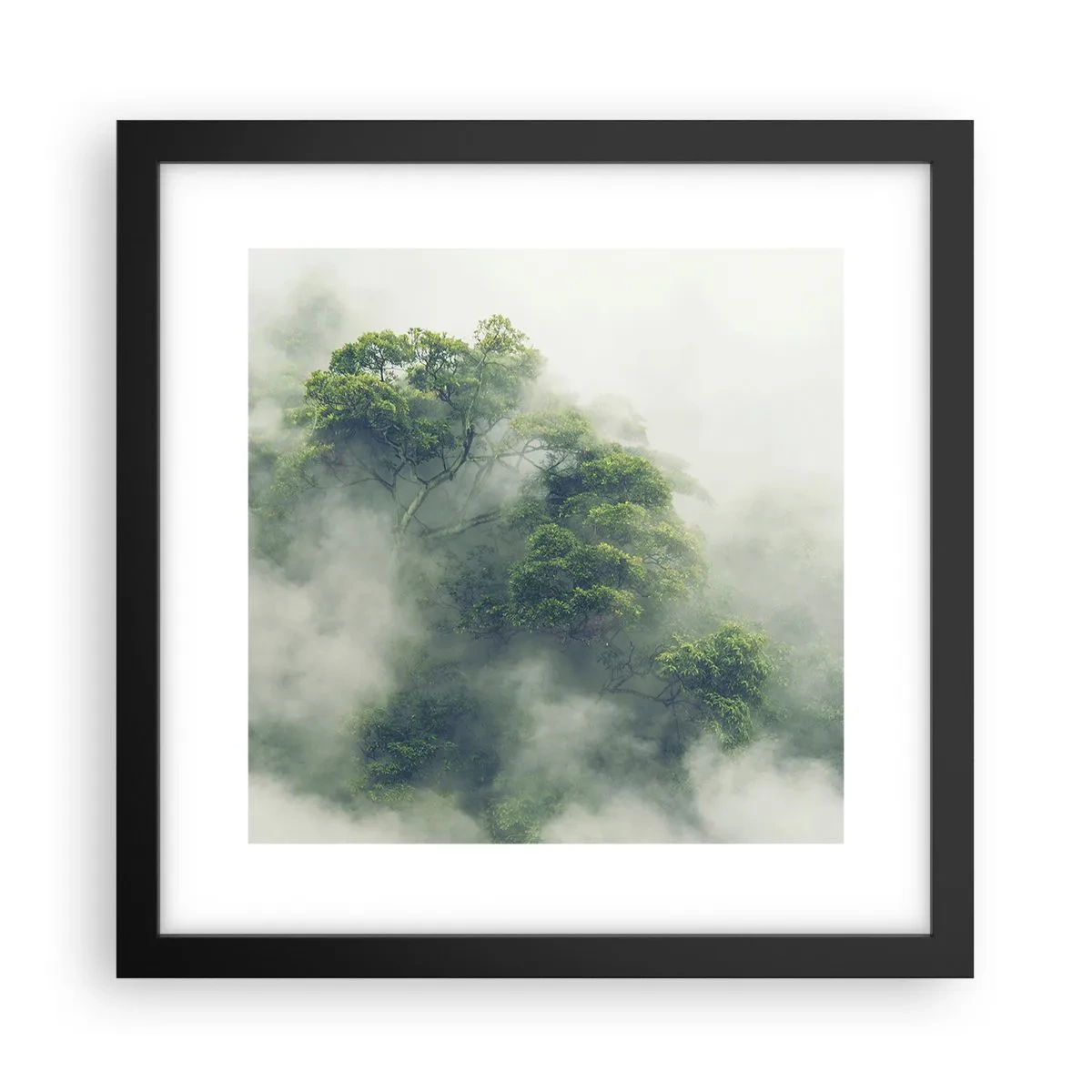 Poster in einem schwarzem Rahmen - In Nebel gehüllt - 30x30 cm
