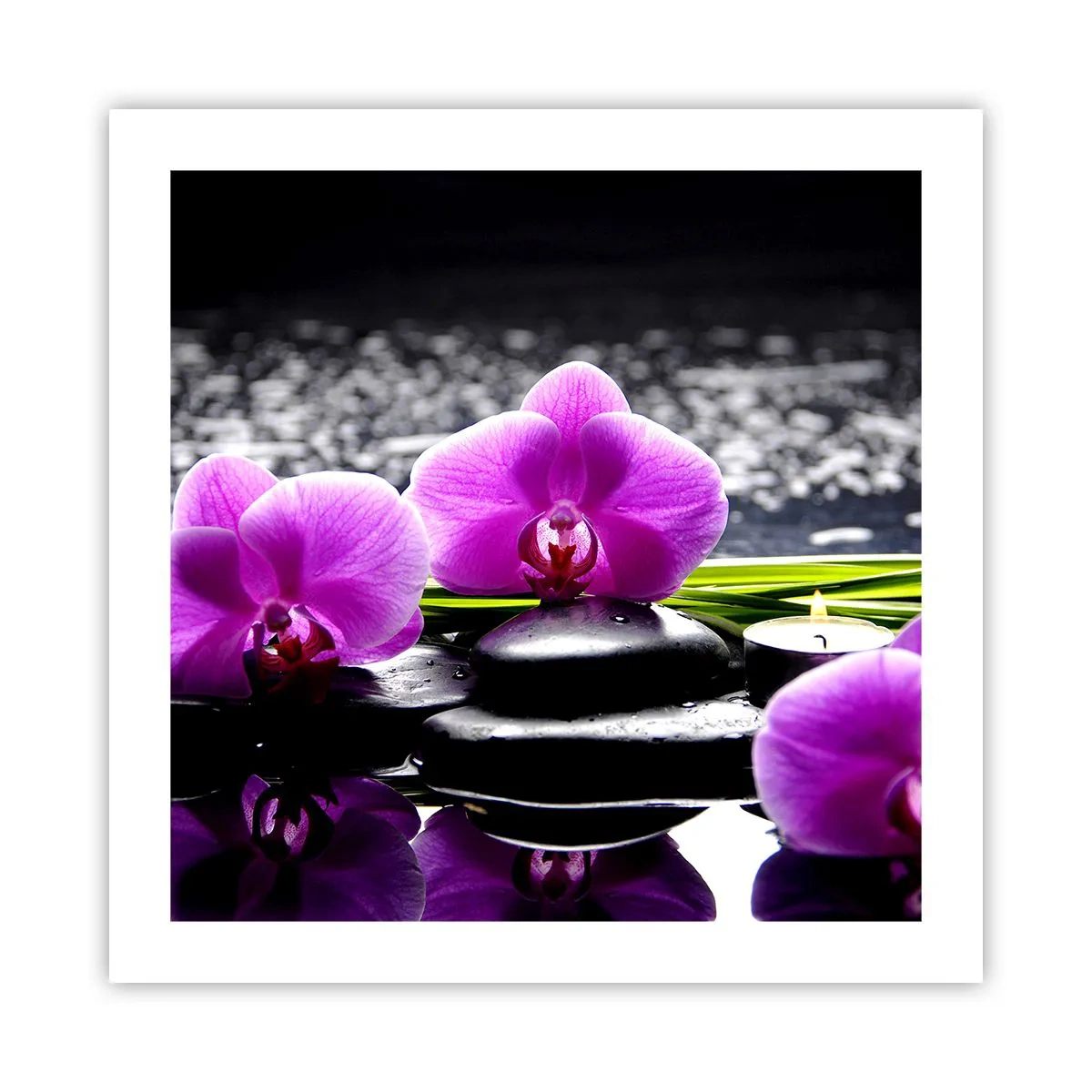 Poster - In Ruhe ertrinken - 50x50 cm
