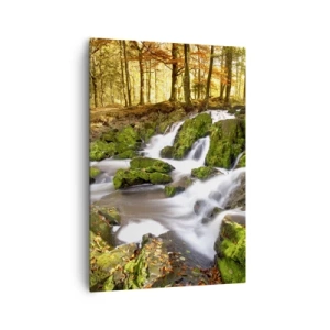 Bild auf Leinwand - Leinwandbild - Eine bewaldete Landschaft mit einem von Moos umgebenen Wasserfall - 70x100cm - Rasch durch den herbstlichen Wald - Moderne Wanddekoration für Wohnzimmer und Schlafzimmer ARTTOR