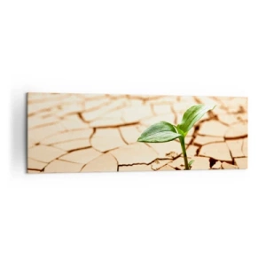Bild auf Leinwand - Leinwandbild - Eine grüne Pflanze wächst aus trockener, rissiger Erde - 160x50cm - Die unbezähmbare Kraft des Lebens - Moderne Wanddekoration für Wohnzimmer und Schlafzimmer ARTTOR