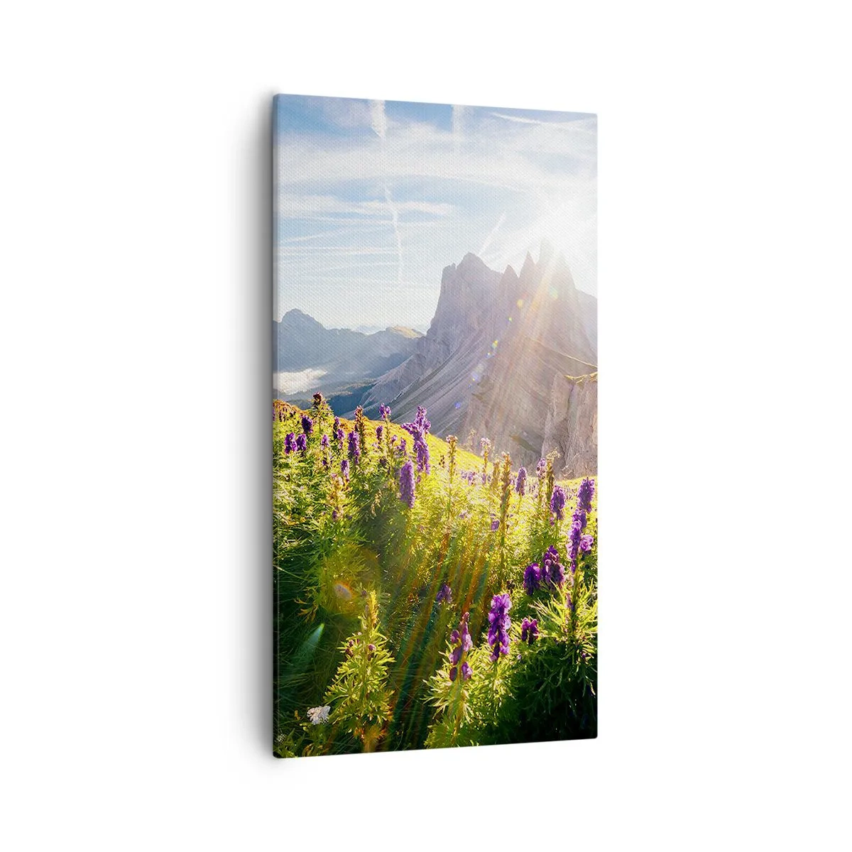 Bild auf Leinwand - Leinwandbild - Das geheime Leben der Kräuter - 55x100 cm