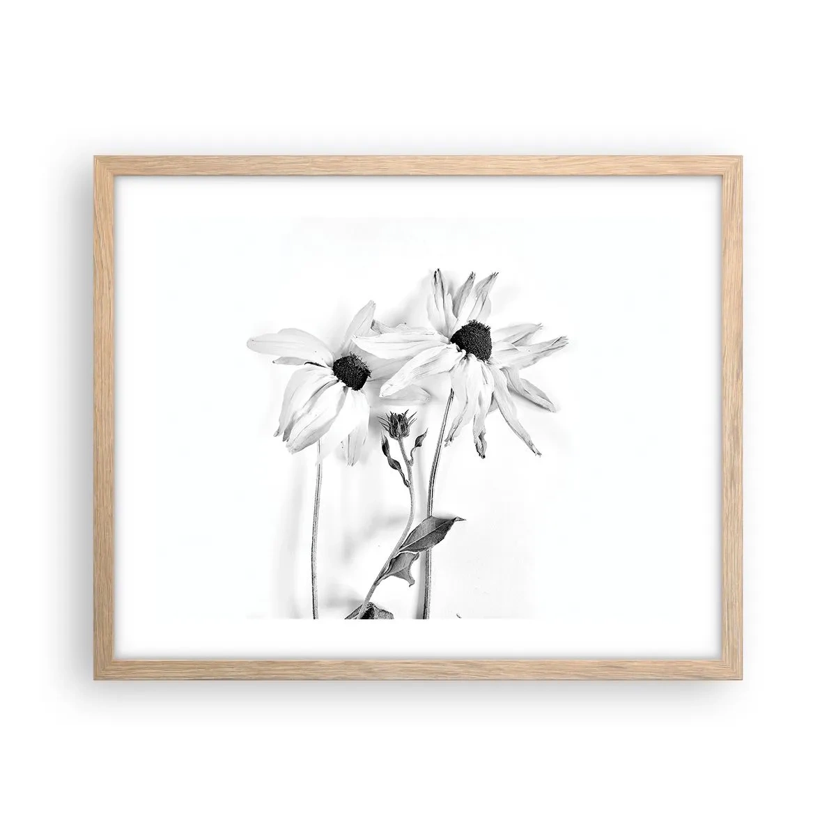 Poster in einem Rahmen aus heller Eiche - Niemand will allein sein - 50x40 cm